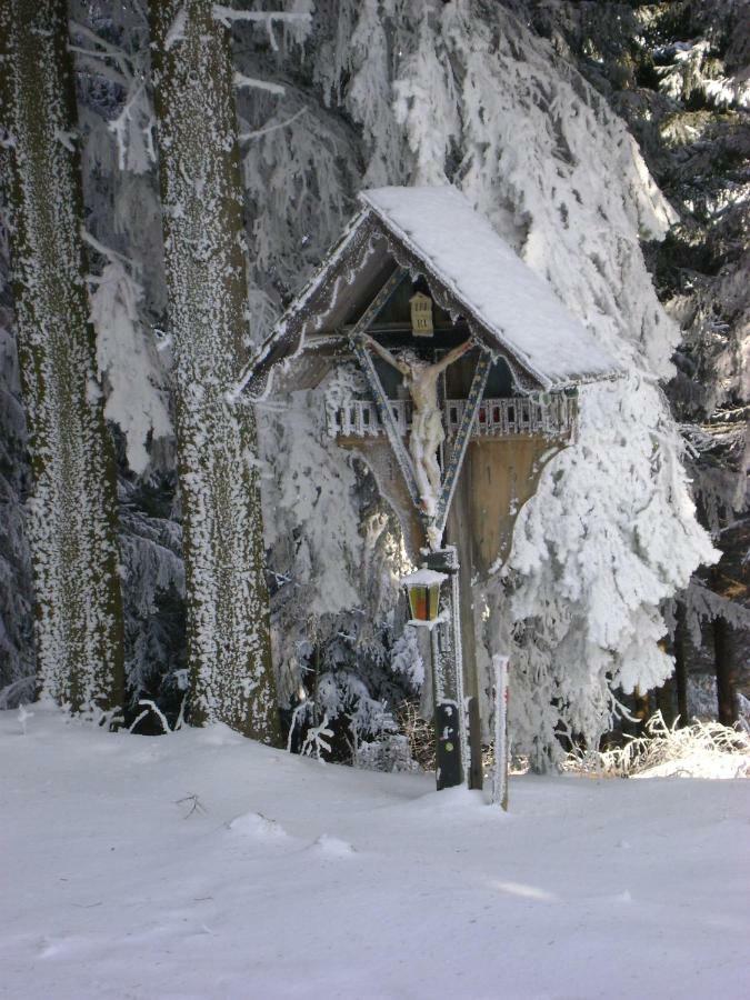 Haus Voellegg Apartment Vollegg Ruang foto
